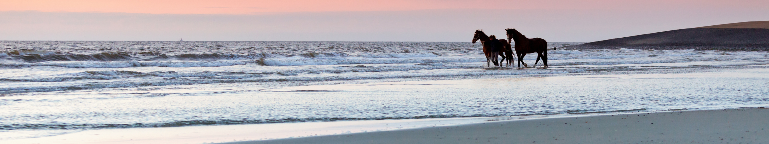 Banner Noordwijk - Zuid-Holland - Nederland